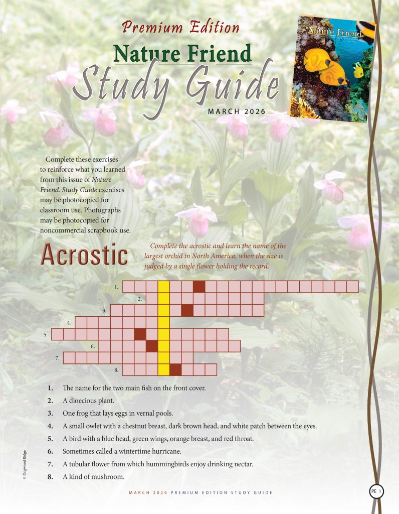 acrostic puzzle