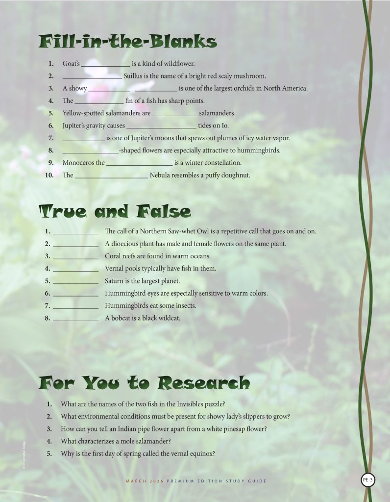 fill-in-the-blank, true and false, research