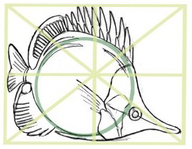 butterflyfish step 1