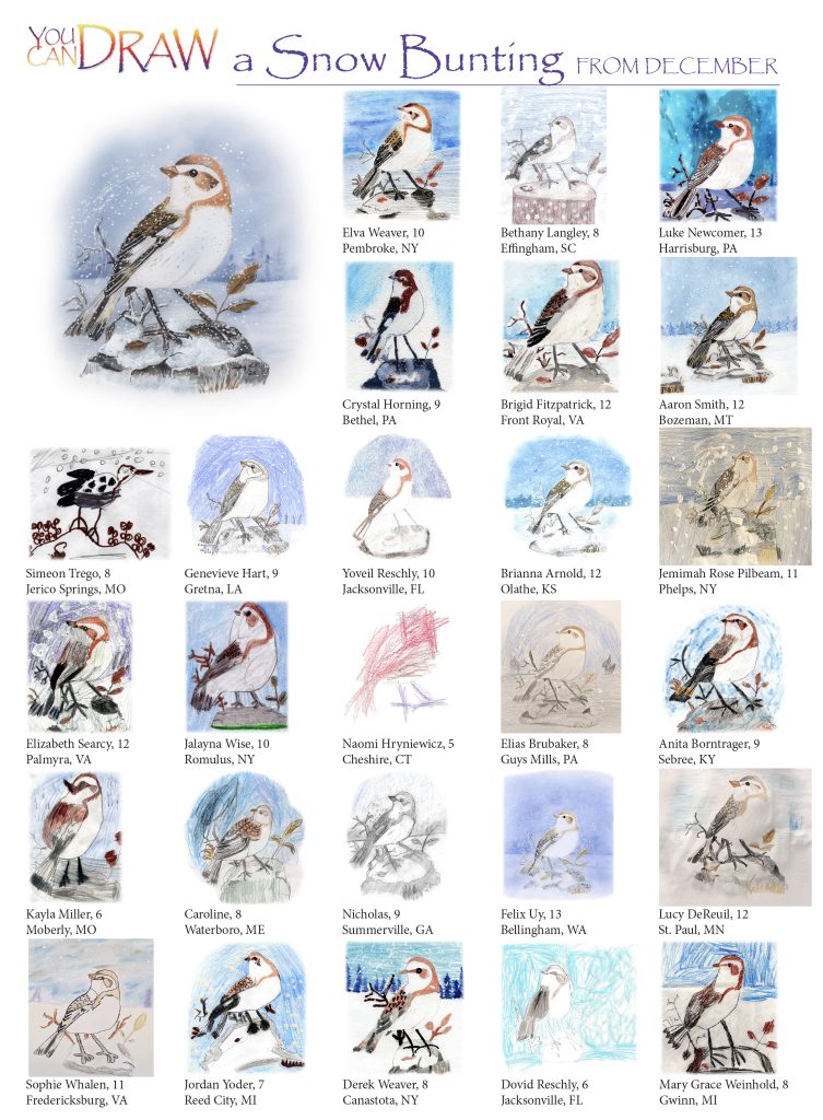 snow bunting submissions