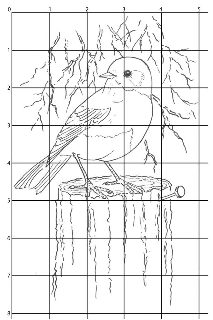 eastern bluebird step 1