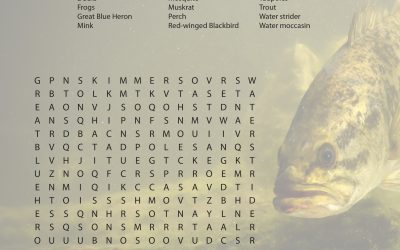 Pond Life Word Search
