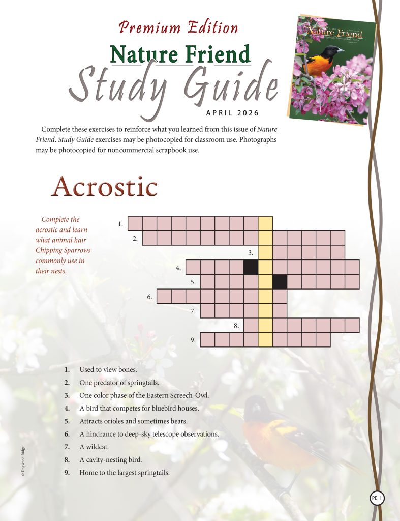 acrostic puzzle