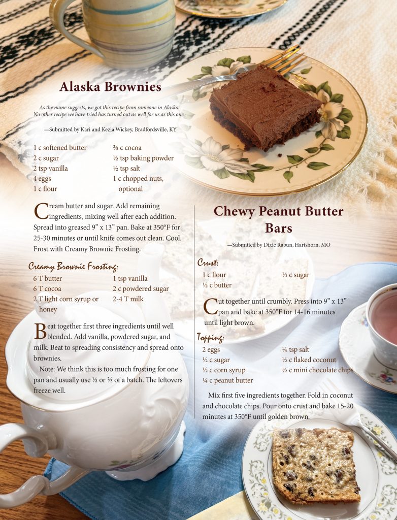 alaska brownies...chewy peanut butter bars