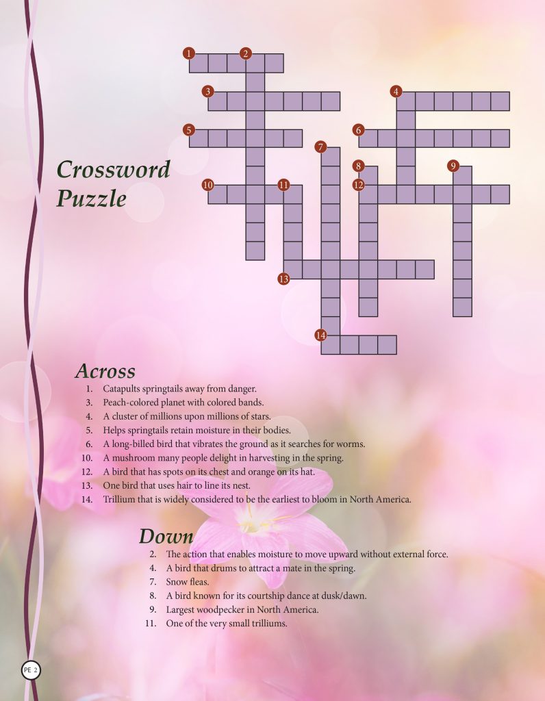 crossword puzzle