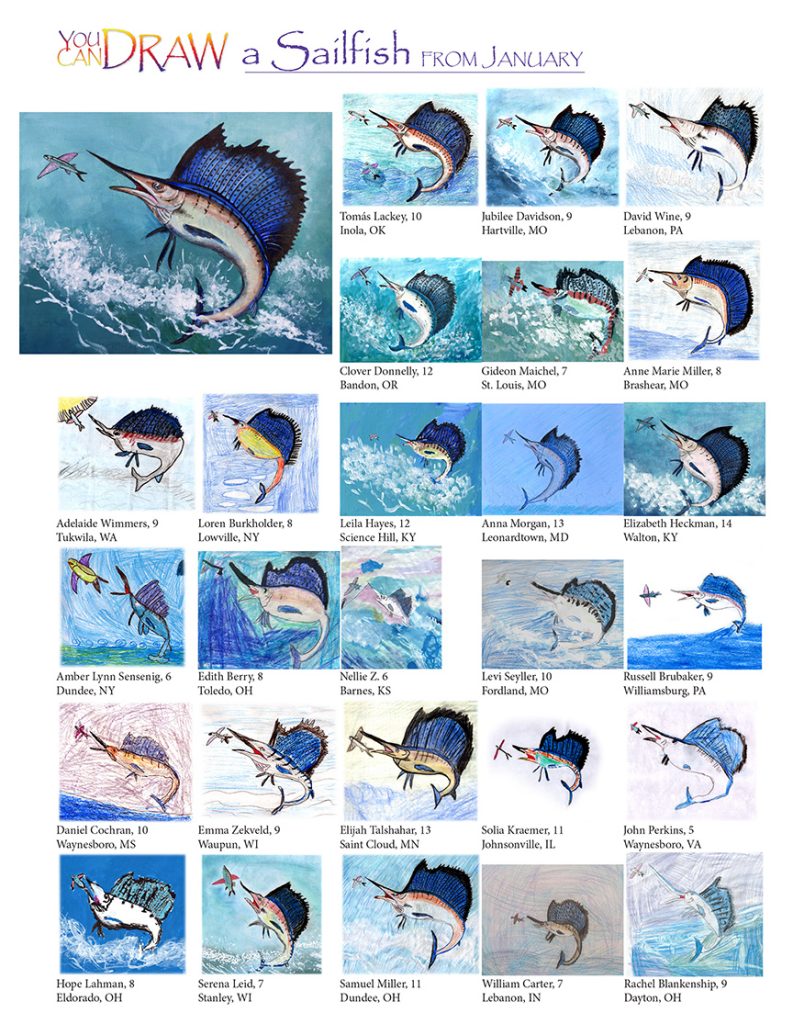you can draw a sailfish children's artwork submissions