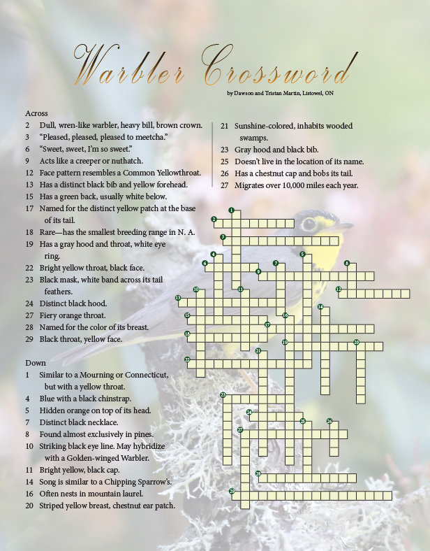 warbler crossword puzzle