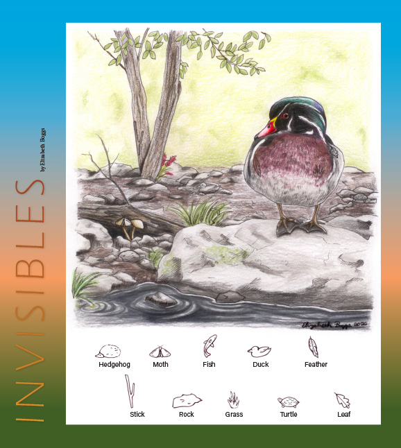 wood duck invisibles