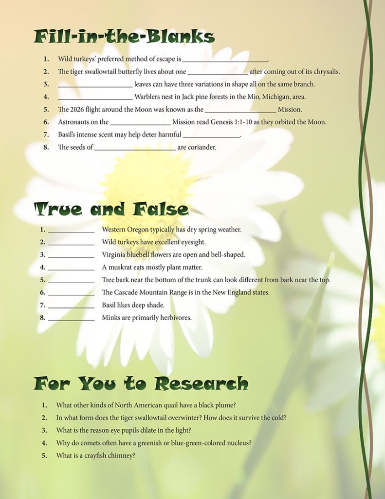nature puzzles and research questions