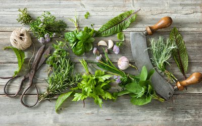 The Joy of Fresh Herbs