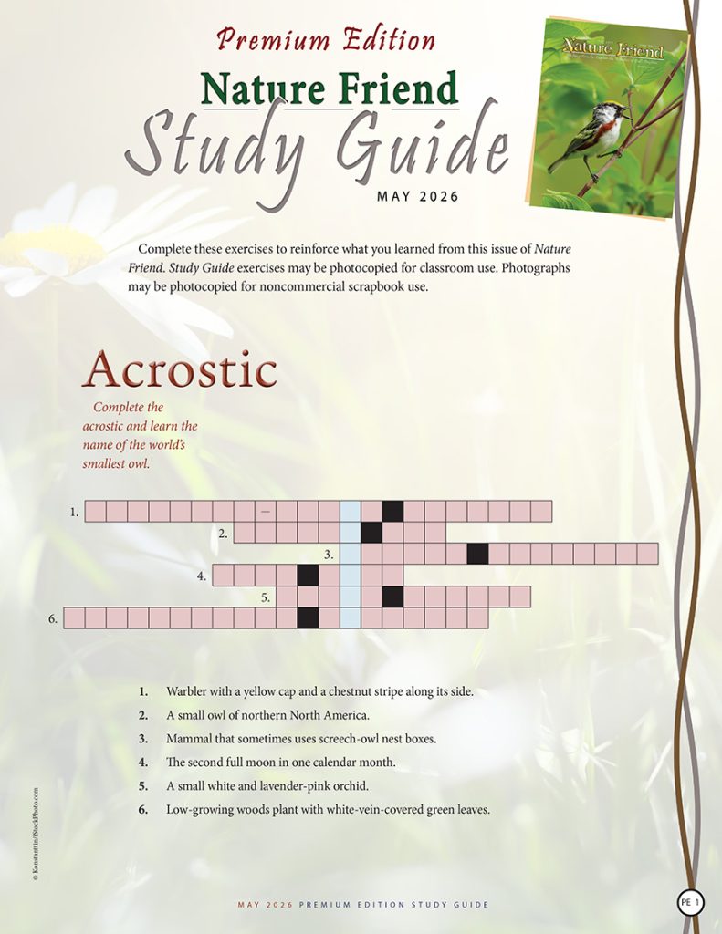 nature acrostic