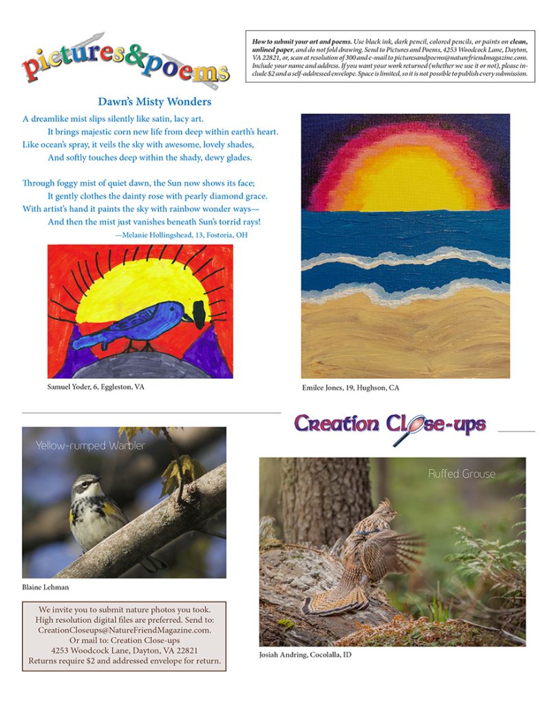 nature artwork, photos, and poem