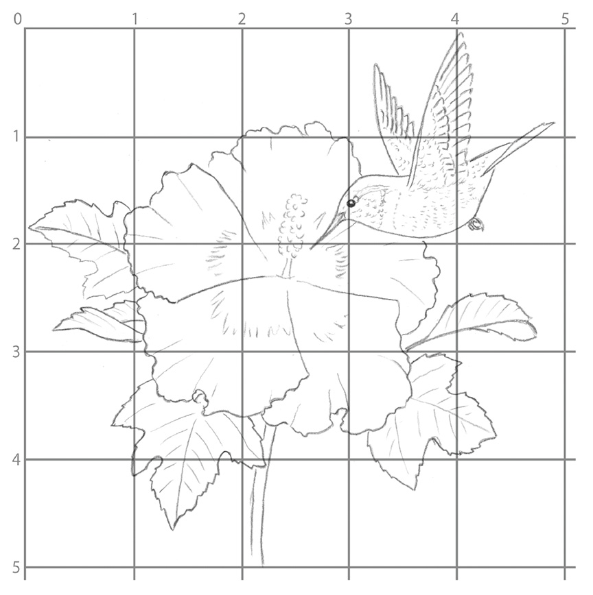 you can draw a ruby-throated hummingbird step 1