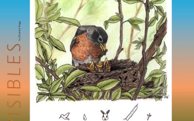 Invisibles, June 2026: American Robin Nest