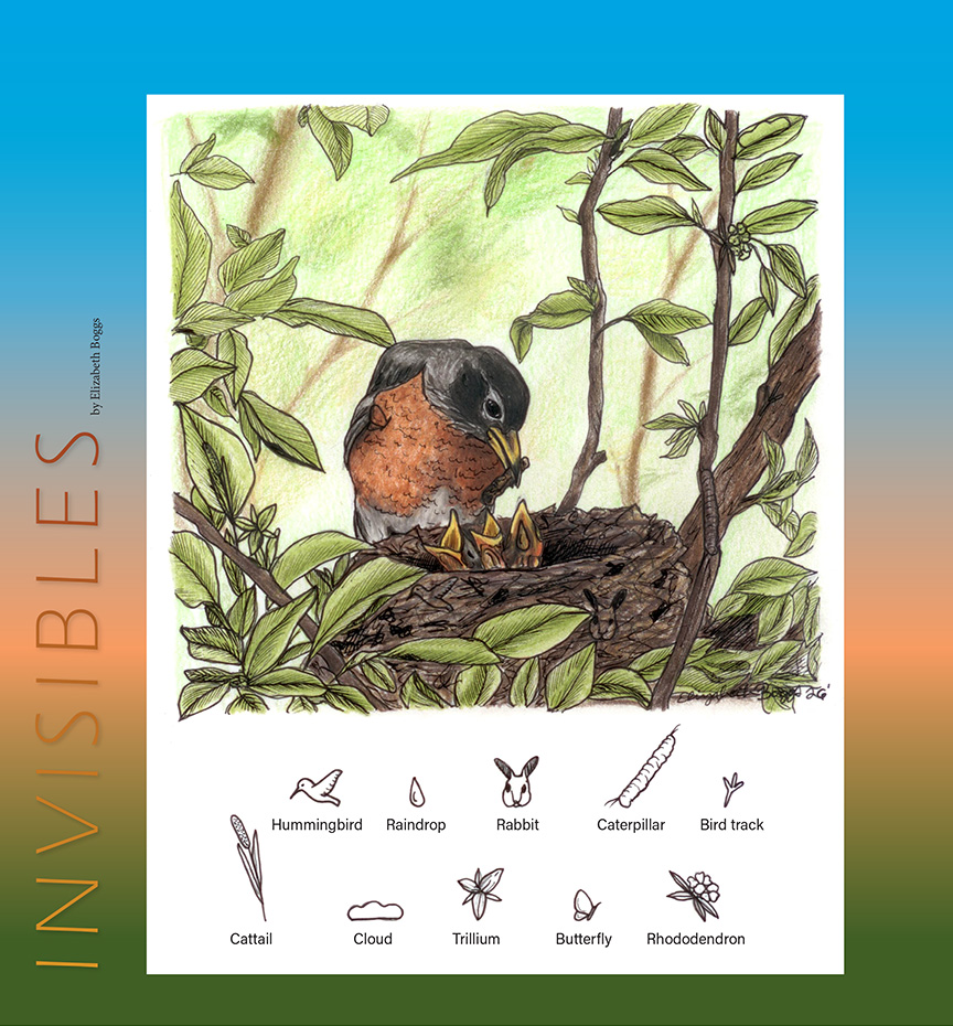 American Robin feeding babies in nest Invisibles puzzle