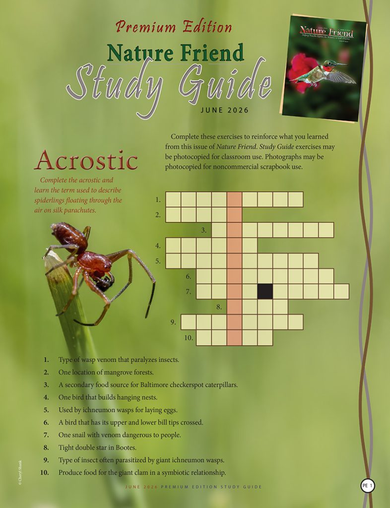 nature acrostic puzzle