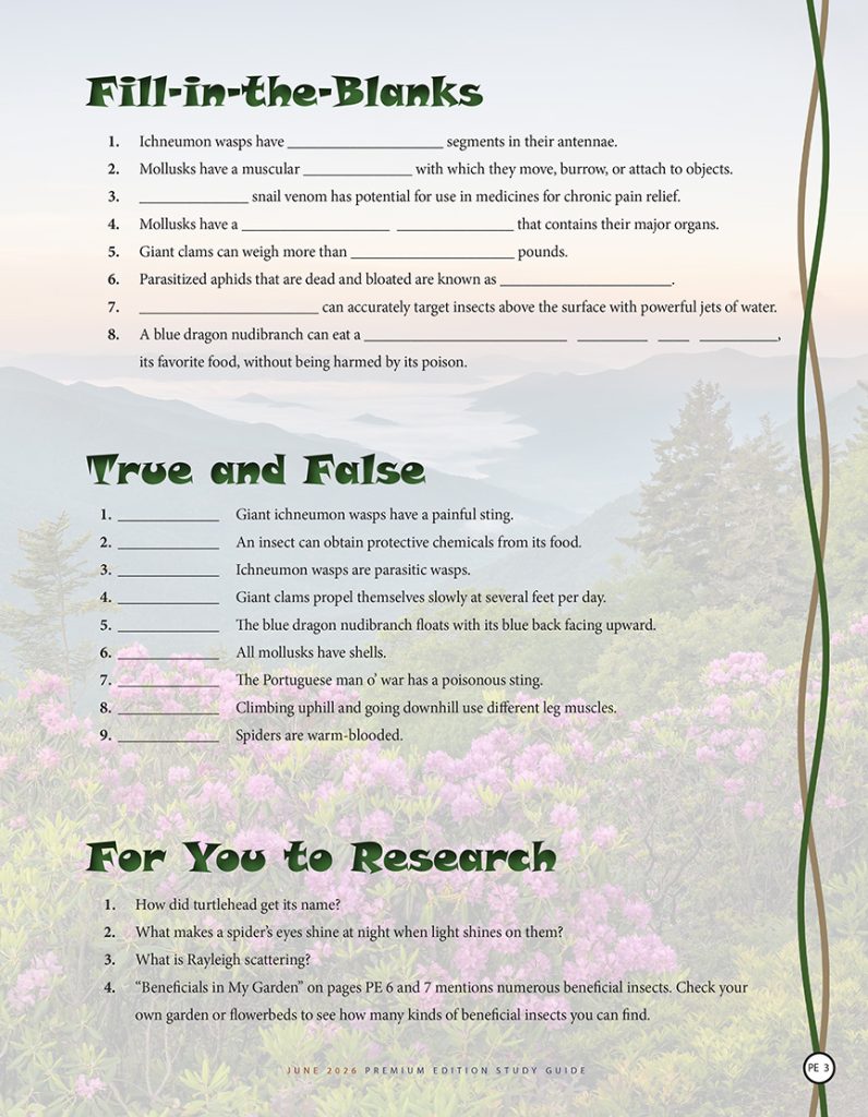nature puzzles and research questions