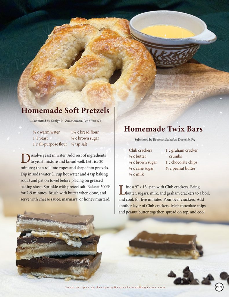 Homemade Soft Pretzels and Homemade Twix Bars recipes