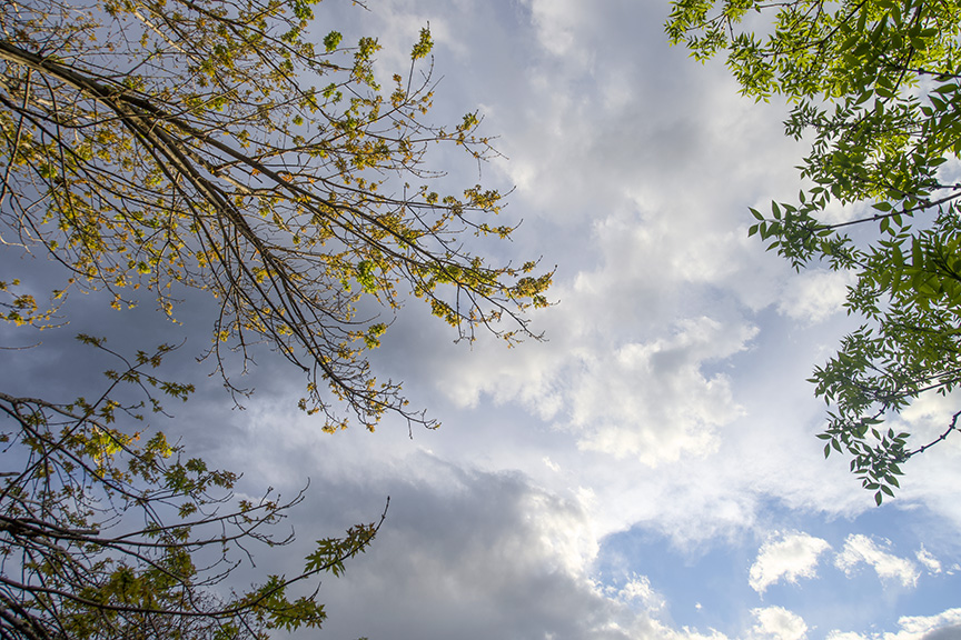 skyscape