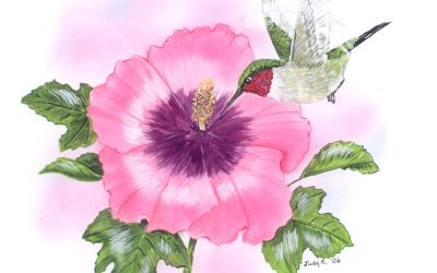 You Can Draw a Ruby-throated Hummingbird Submissions