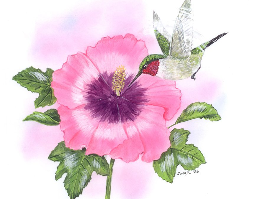 You Can Draw a Ruby-throated Hummingbird Submissions