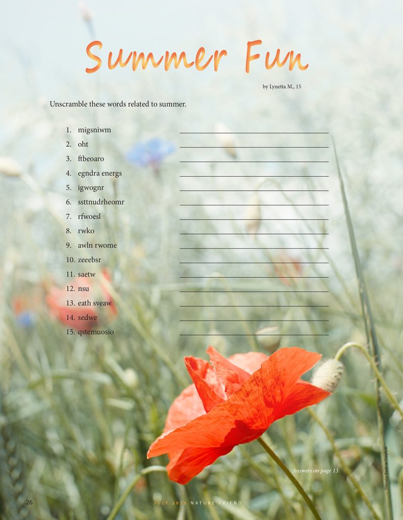 summer fun unscramble puzzle