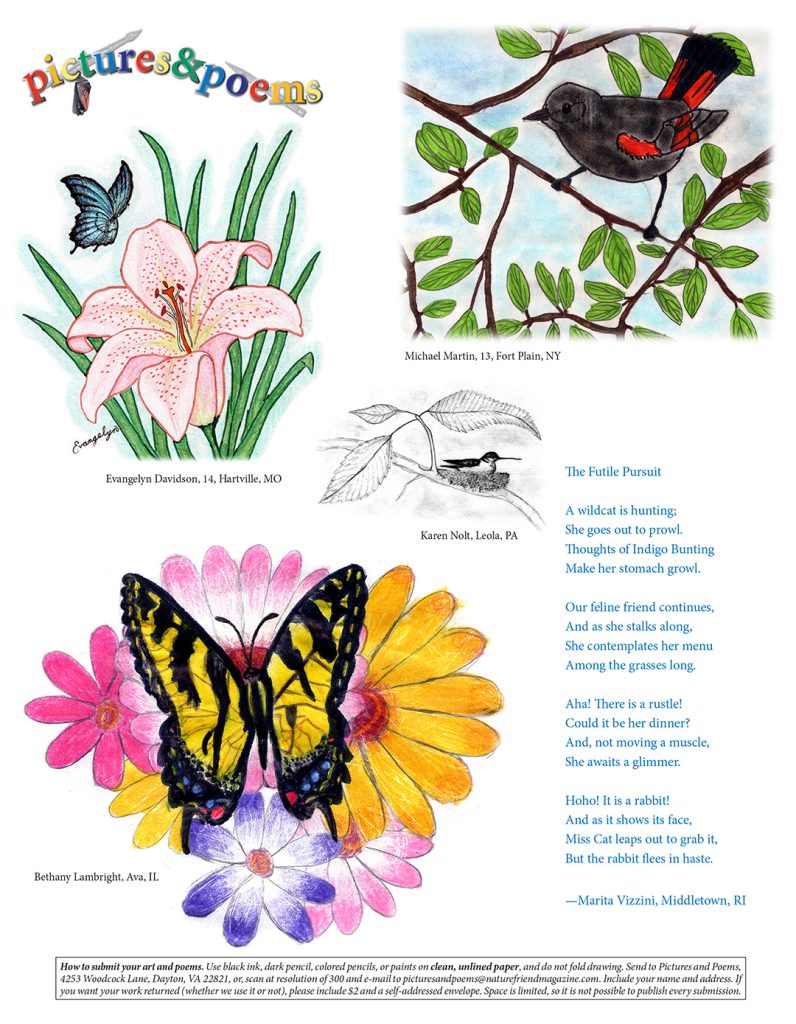 children's nature artwork and poem