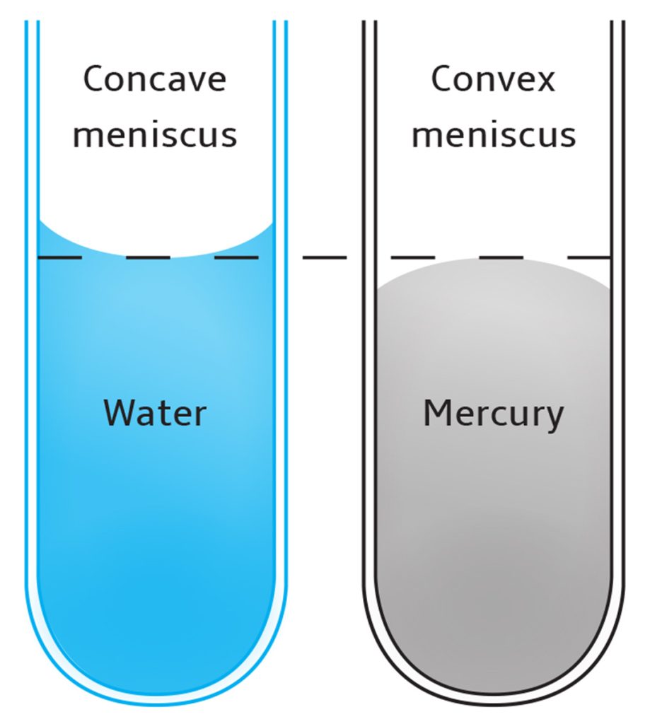 illustration of concave and convex meniscus with water and mercury