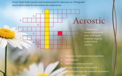 Study Guide Puzzles, July 2026