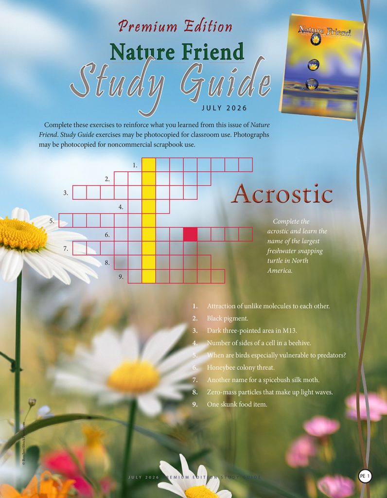 nature acrostic puzzle