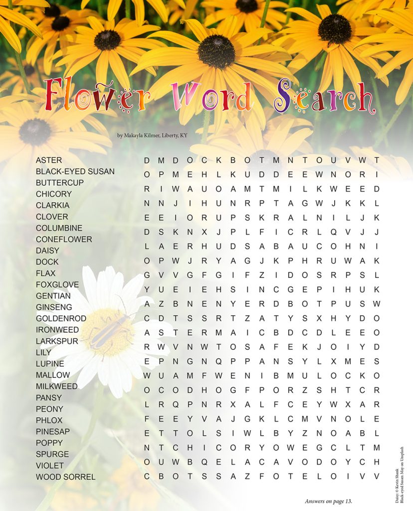 flower word search puzzle