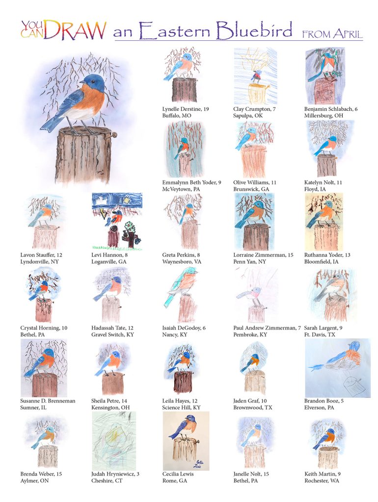 children's artwork of Eastern Bluebird on fence post
