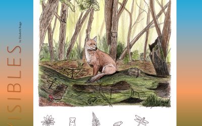 Invisibles, August 2026: Red Fox
