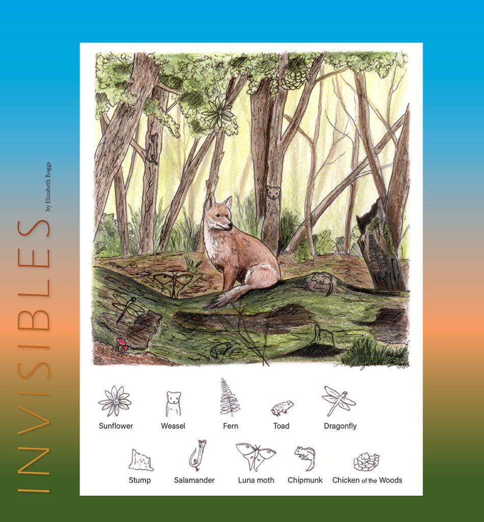 red fox invisibles puzzle