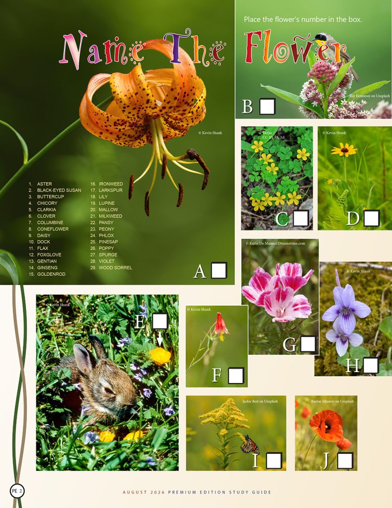 name that flower puzzle