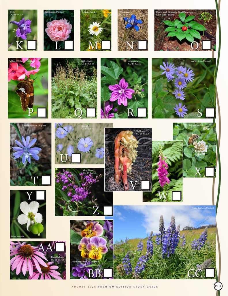 name that flower puzzle