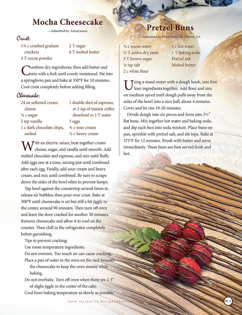 recipes for Mocha Cheesecake and Pretzel Buns