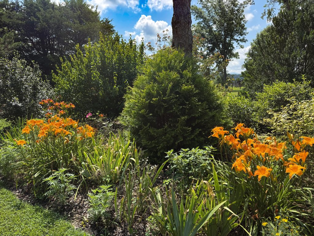 flower garden