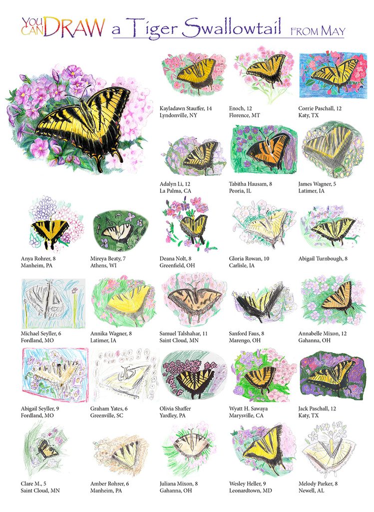 children's artwork of tiger swallowtail