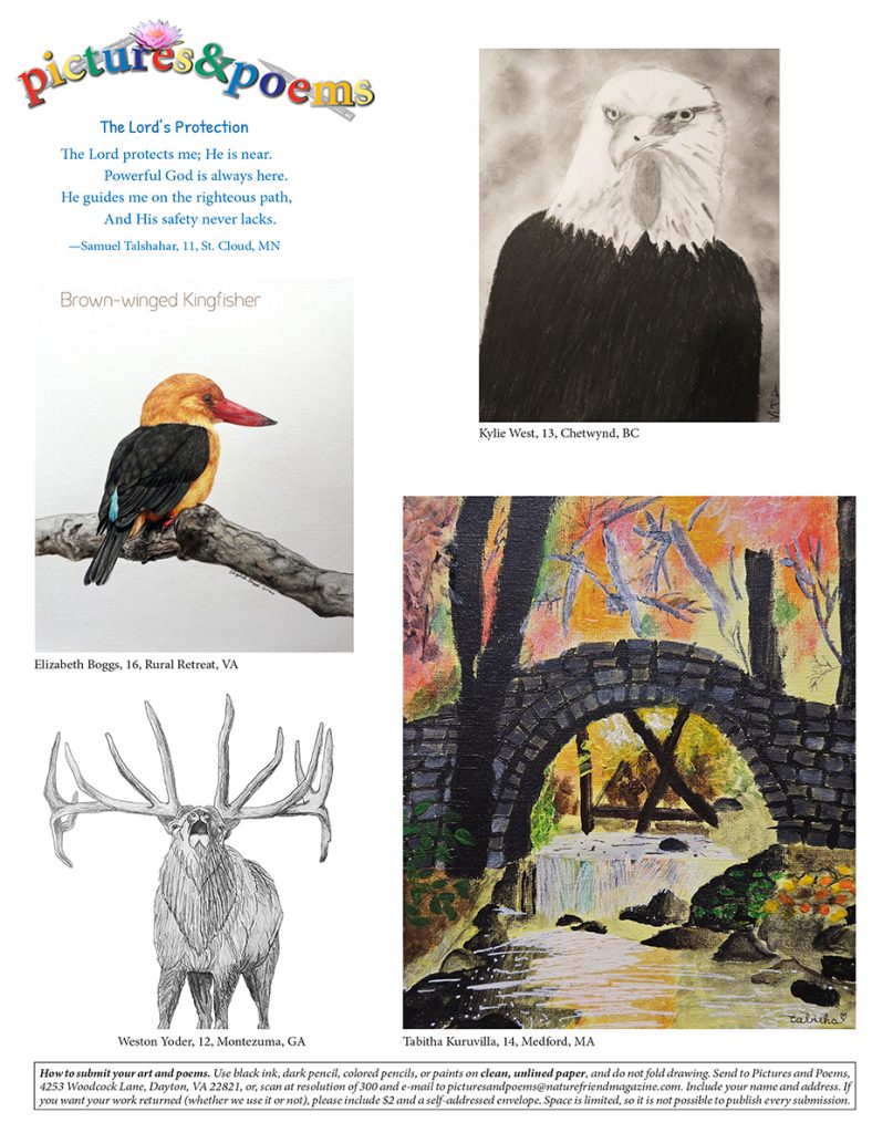 children's nature artwork and poem