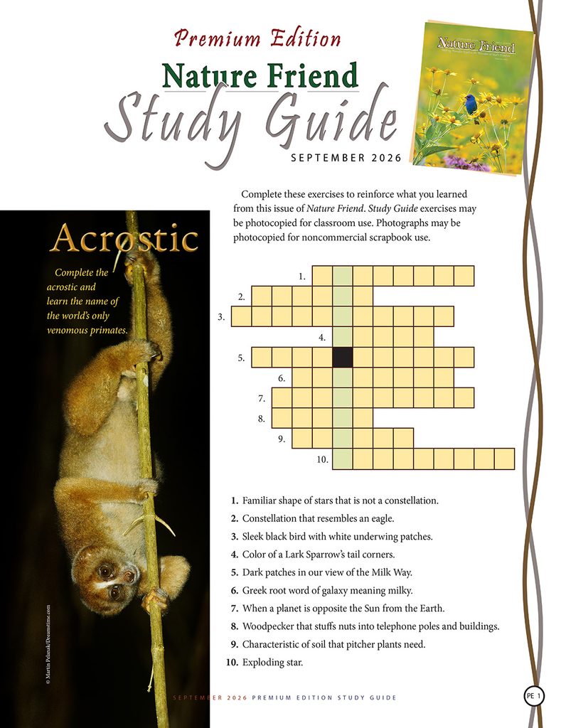 nature acrostic puzzle