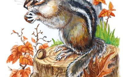 You Can Draw a Chipmunk