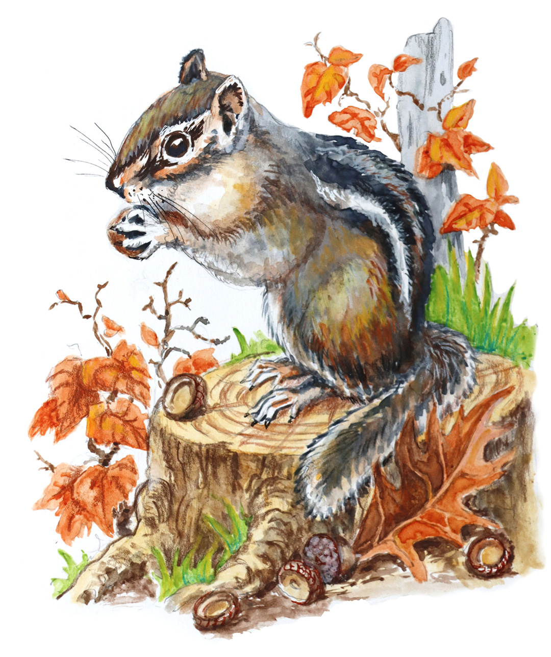 artwork of chipmunk eating acorn on stump with fall leaves