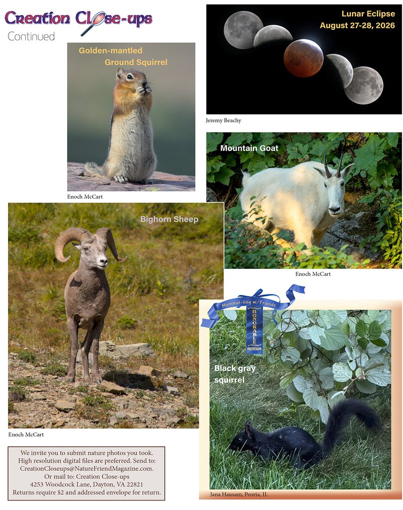nature photos
