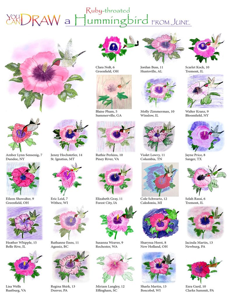 children's artwork for you can draw a ruby-throated hummingbird art lesson