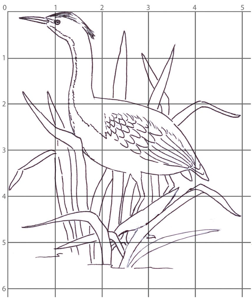 You Can Draw a Green Heron step 1