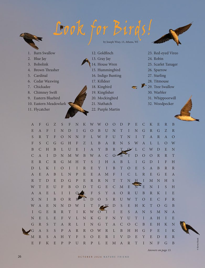 look for birds word search puzzle
