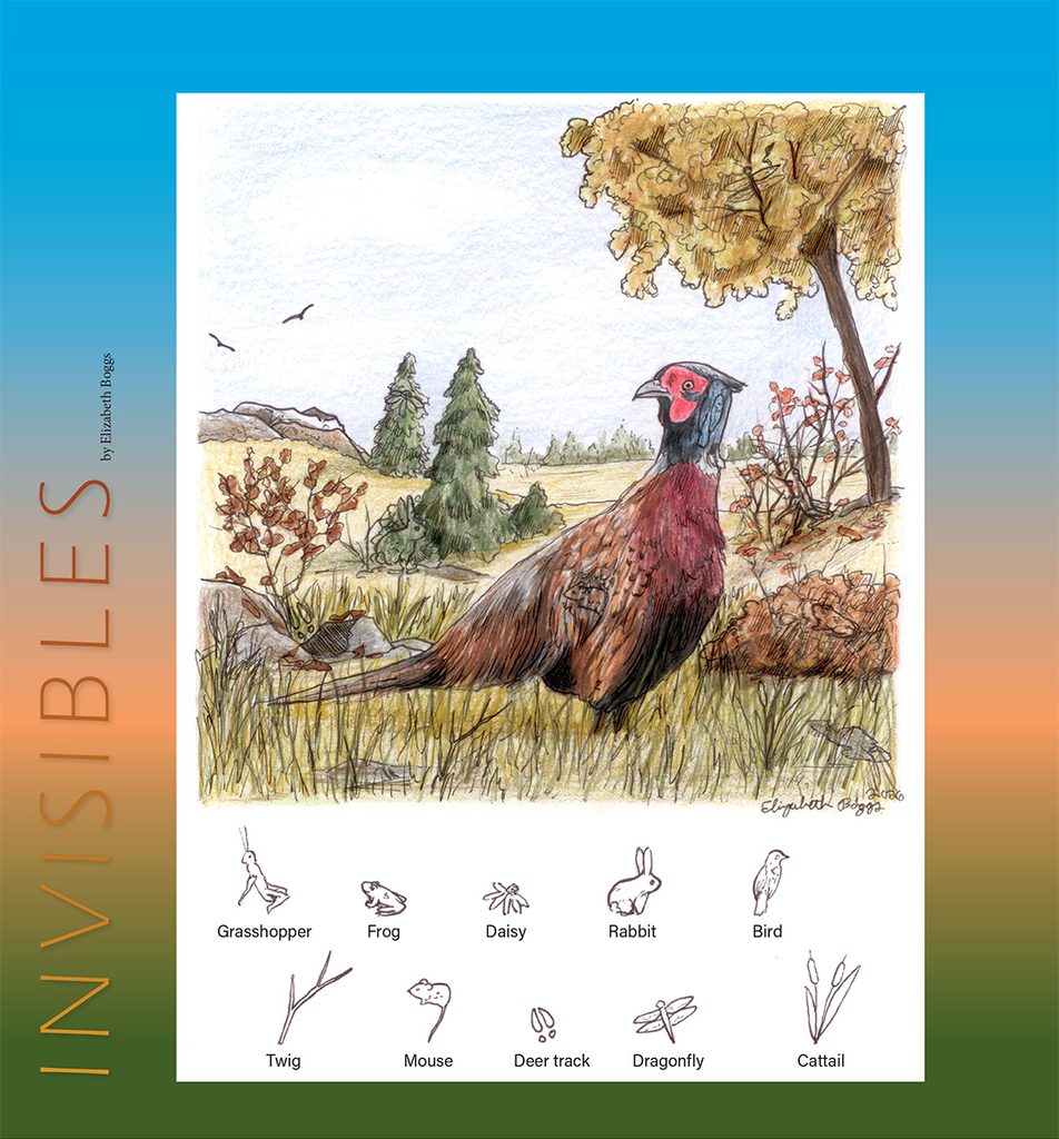 ring-necked pheasant invisibles puzzle