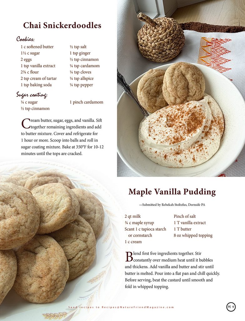 recipes for chai snickerdoodles and maple vanilla pudding