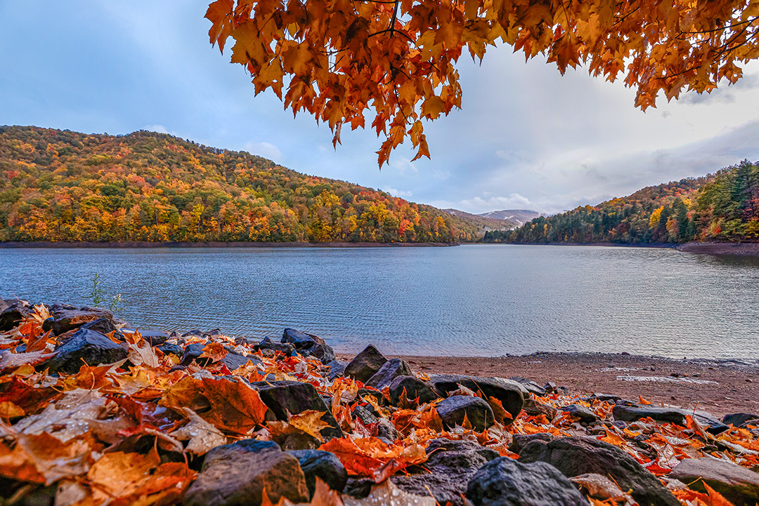 lake with fall leaves and rocks
